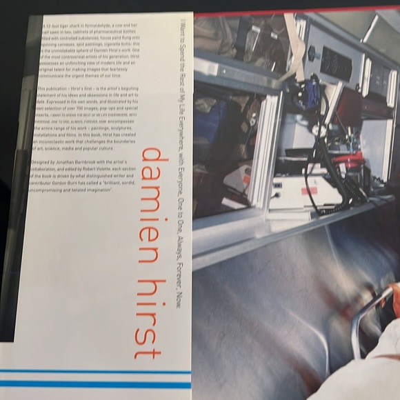 DAMIEN HIRST ‘I WANT TO SPEND THE REST OF MY LIFE EVERYWHERE, WITH EVERYONE, ONE - Picture 10 of 17